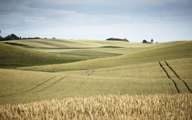 2021 Nebraska Small Grain Acreage and Production Report