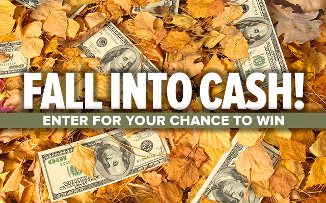 Fall Into Cash Contest